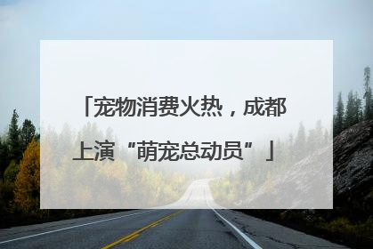 宠物消费火热，成都上演“萌宠总动员”